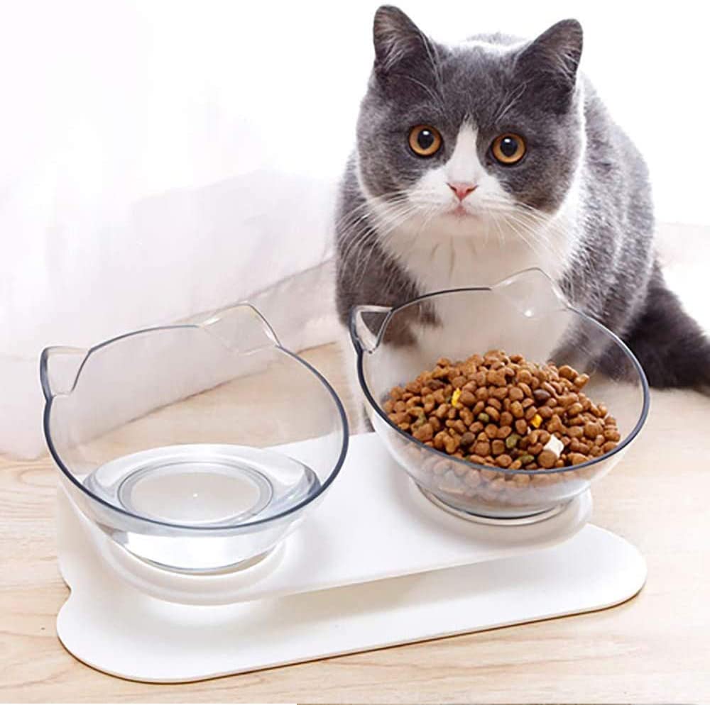 WELLXUNK® Cat Feeding Bowls, Cat Food Bowl With Raised Stand, 15°Tilted Anti-Slip Cat Bowl, Detachable, Non-Slip and Splash-Proof, For Food and Water Feeder, For Cats And Puppies (Transparent)