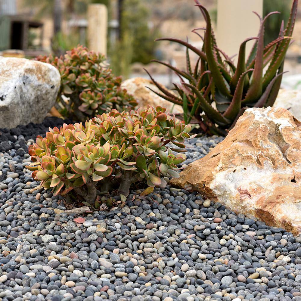 Southwest Boulder  Stone 0.50 cu. ft. 1 in. to 2 in. Mixed Mexican Beach Pebble Smooth Round Rock for Gardens Landscapes and Ponds 02-0300