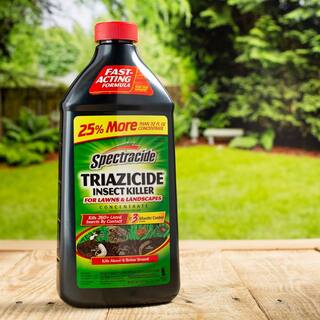 Spectracide 40 oz. Triazicide Insect Killer for Lawns and Landscapes Concentrate HG-55829-5