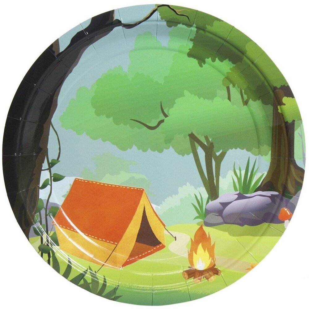 80 Pack Disposable Paper Plates  Camping Party Supplies for Dinner  9\