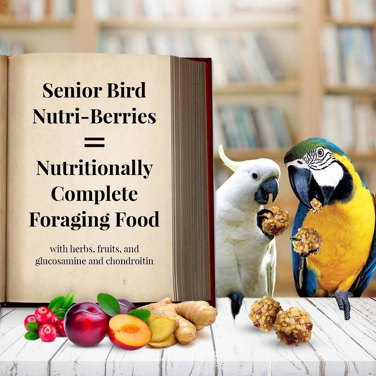 Lafeber Senior Bird Nutri-Berries Macaw and Cockatoo Bird Food