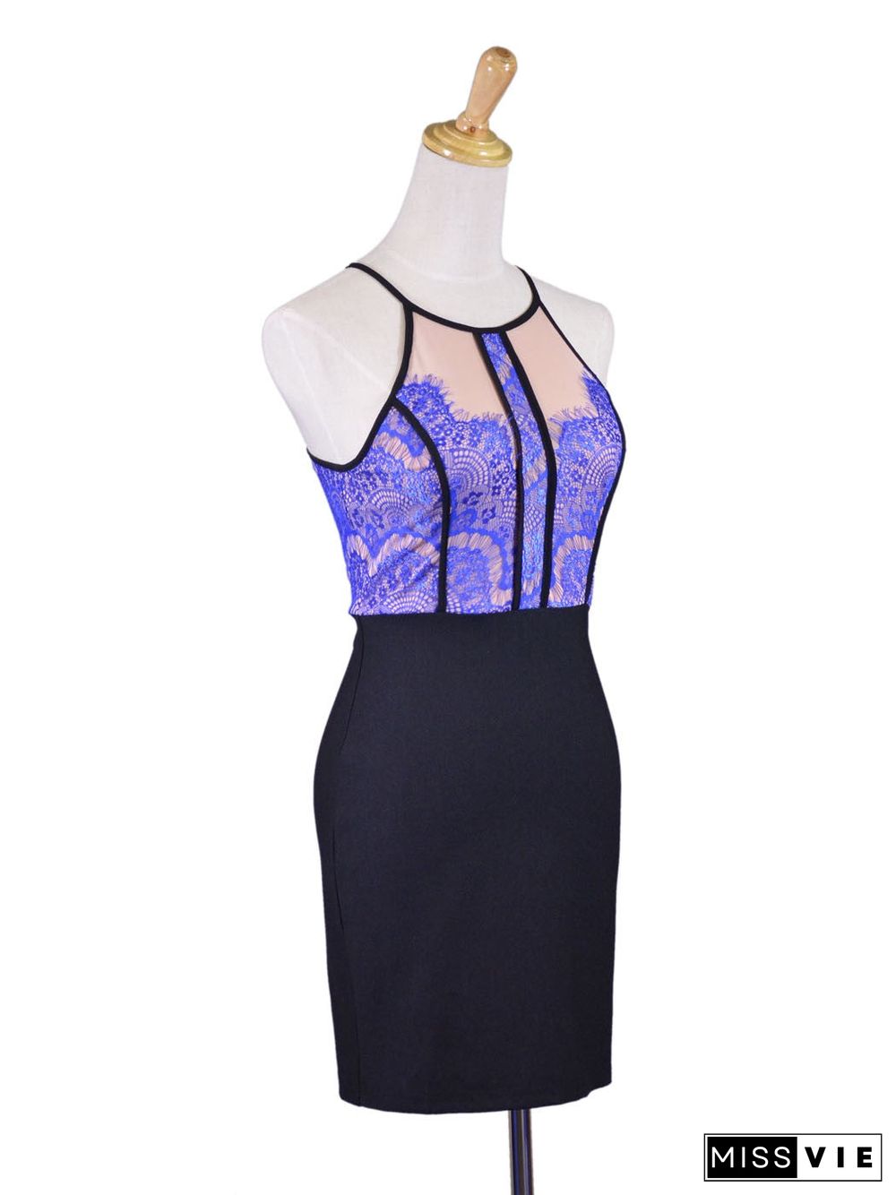 Lush Luxurious Royal Blue Dainty Lace Bodycon Evening Cocktail Party Dress