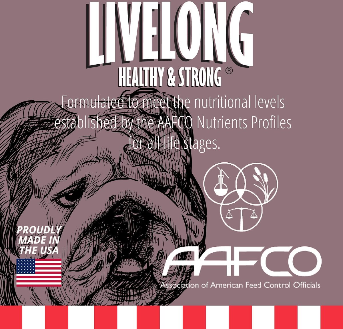 Livelong Healthy and Strong Bison/Buffalo and Sweet Potato Recipe Wet Dog Food， 12.8-oz can， case of 12