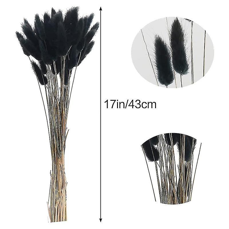 60pcs Fall Dried Flowers Bunny Tails Dried Flowers Lagurus Ovatus Rabbit Tail Grass For Dried Flora