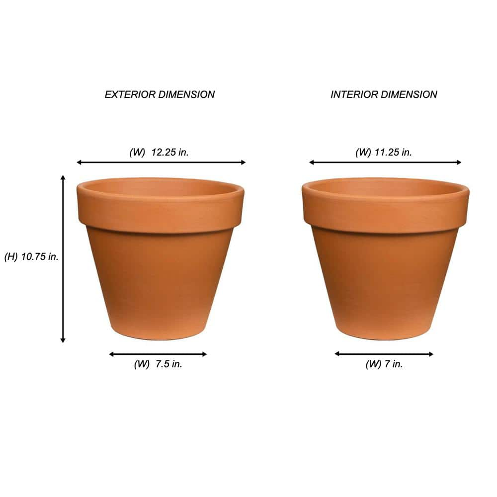 Pennington 12 in. Medium Terra Cotta Clay Pot 100043019