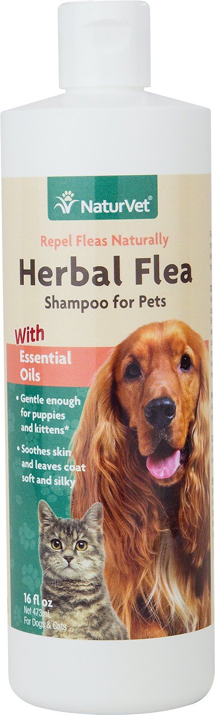 Naturvet Herbal Flea Shampoo For Dogs  Cats