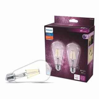 Philips 40-Watt Equivalent ST19 Clear Glass Dimmable E26 Vintage Edison LED Light Bulb Soft White 2700K (2-Pack) 564856