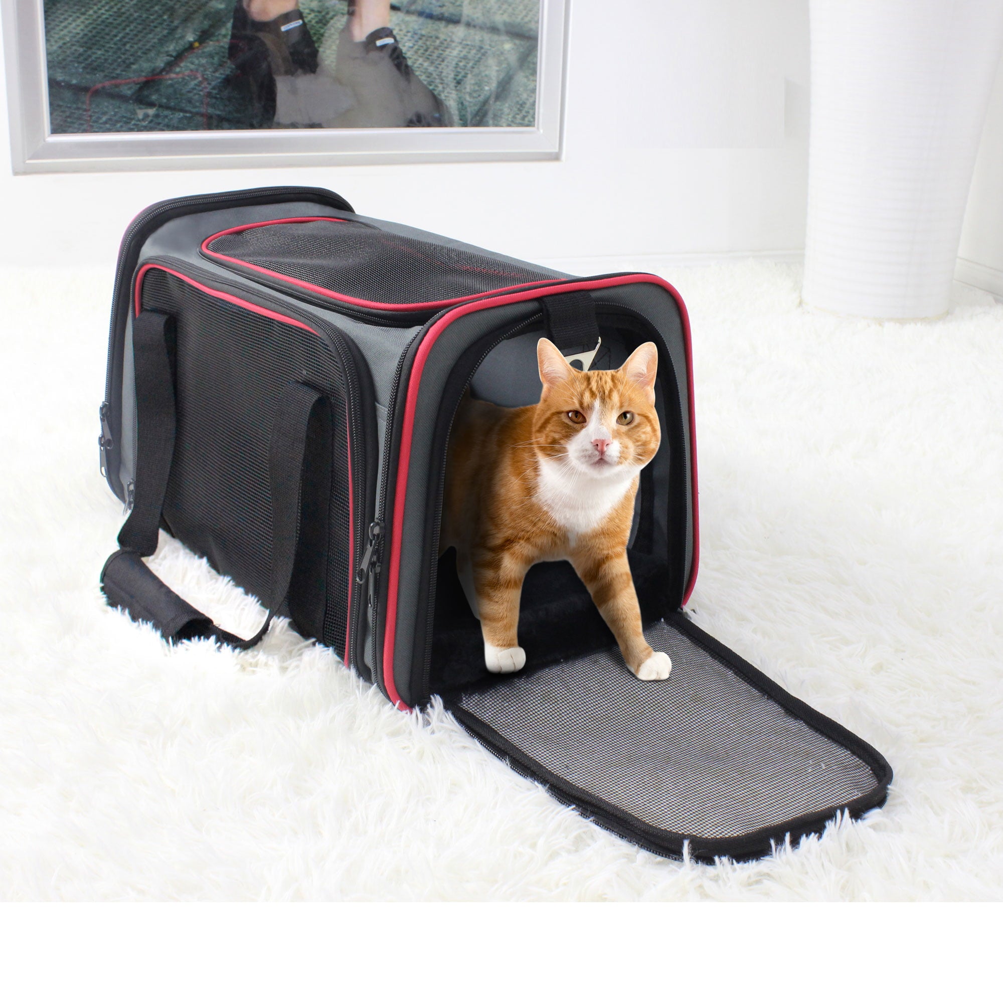 GOOPAWS Soft-Sided Pet Travel Carrier， Airline Approved Dog and Cat Carrier Collapsible， Collapsible Kennel for Small Dogs Cats， Puppy