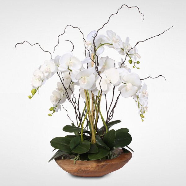 White Real Touch Phalaenopsis Silk Orchid Arrangement in a Natural Teak Bowl