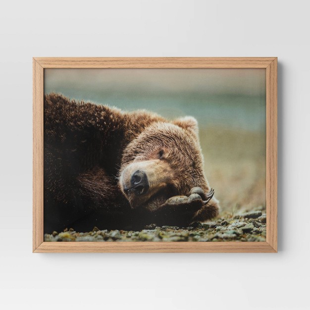 X 16 quot Bear Photography Framed Art Brown