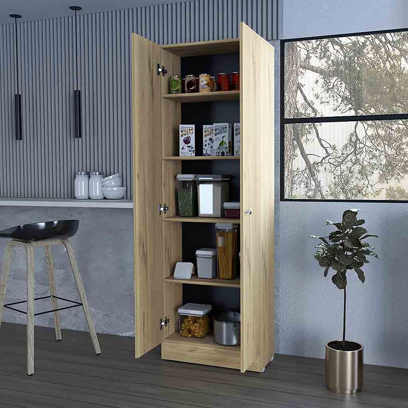 Virginia Double Door Storage Cabinet， Five Shelves