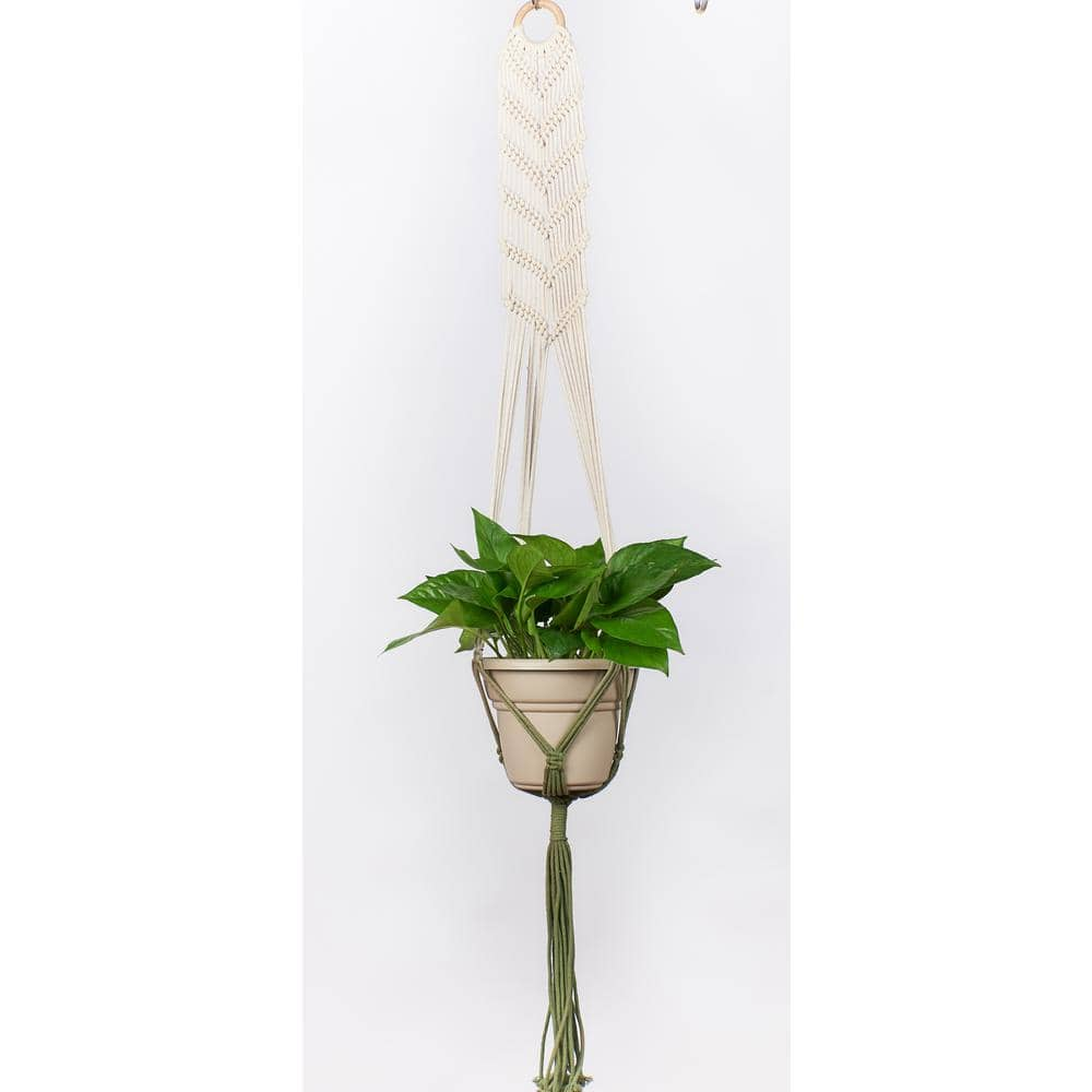 Primitive Planters 48 in. Off White with Olive Green Dip Dye Woven Cotton Macrame Plant Hammock (Natural with Green Dip Dye on Bottom) 9000