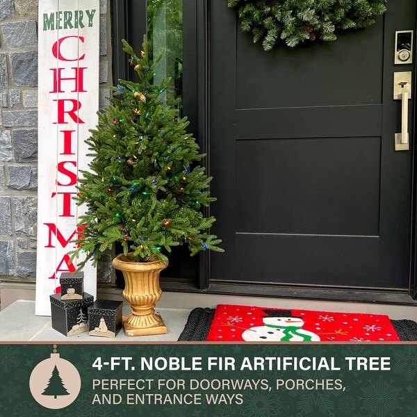 Fraser Hill Farm 4.0' Noble Fir Potted Tree