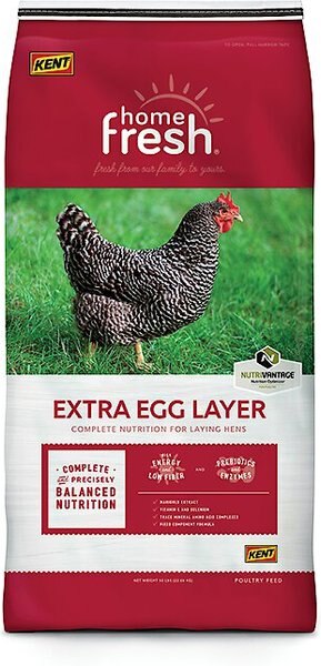 Kent Home Fresh Extra Egg Layer Crumbles Chicken Food， 50-lb bag