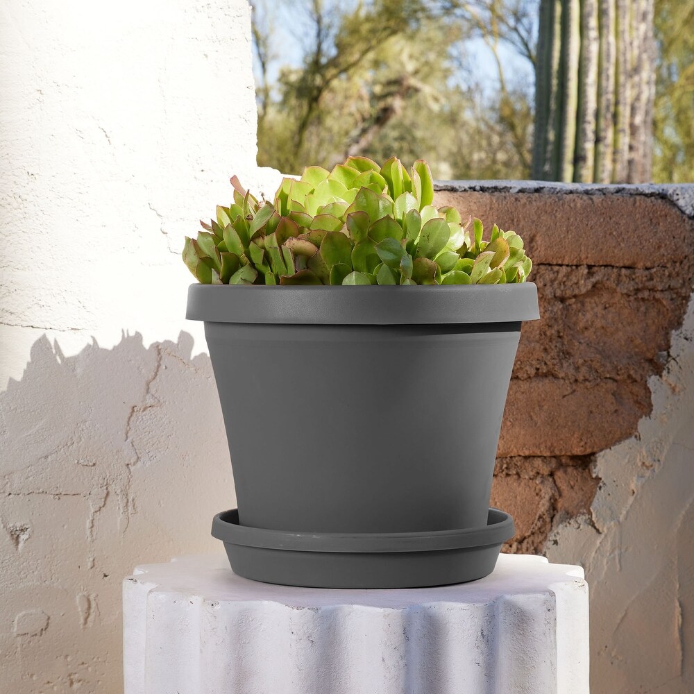 Bloem Terra Pot Round Drain Saucer: 14\