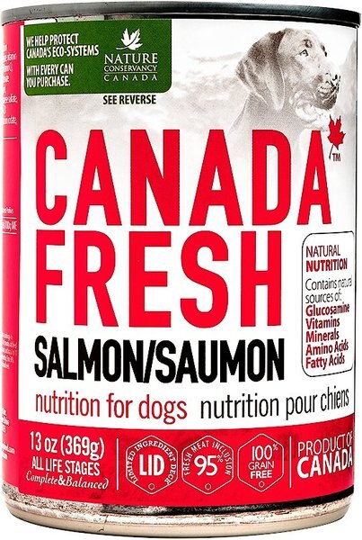 Canada Fresh Salmon Canned Dog Food