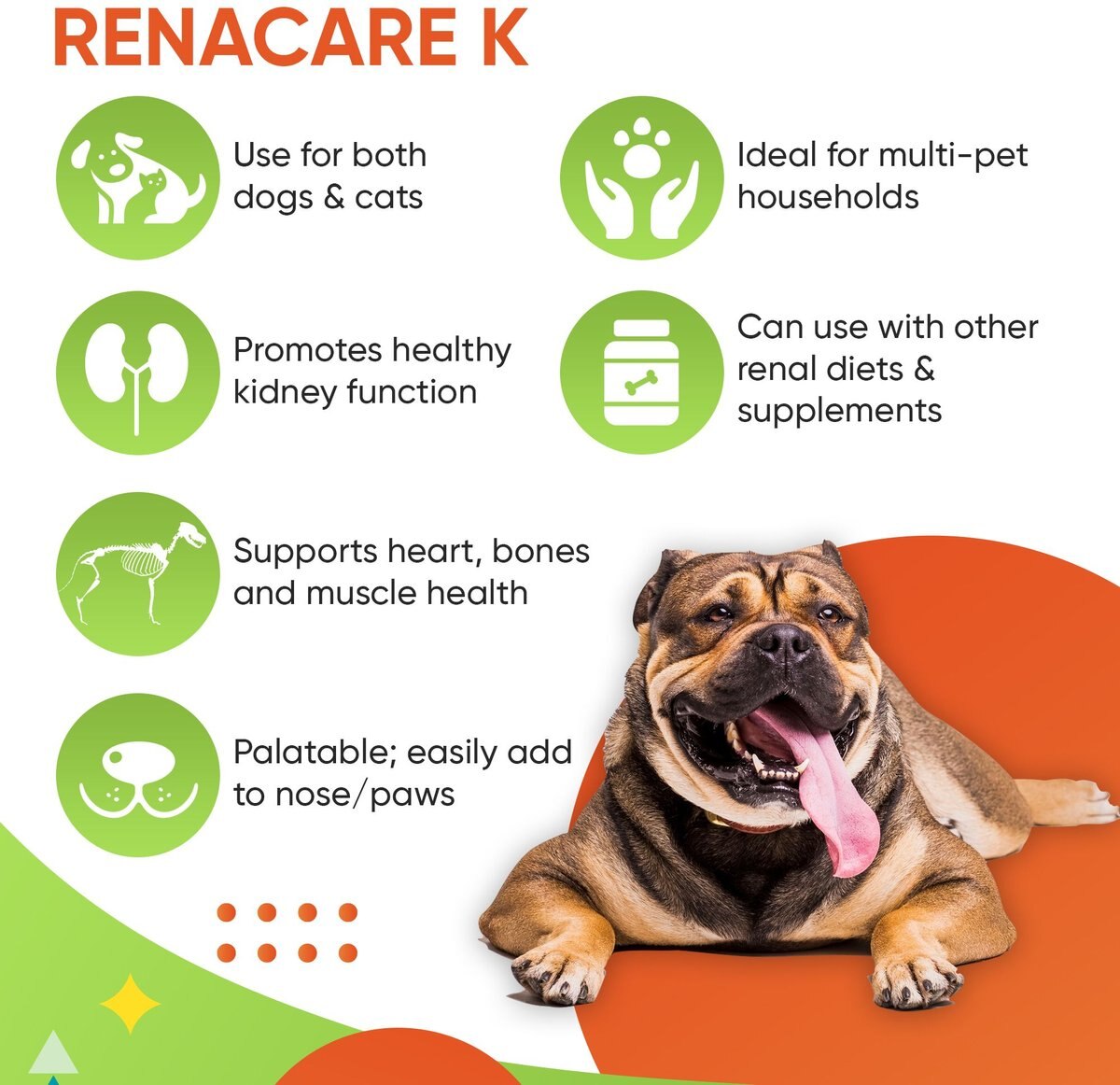 Pet Health Pharma RenaCare K Powder Kidney Cat and Dog Supplement， 4.2-oz