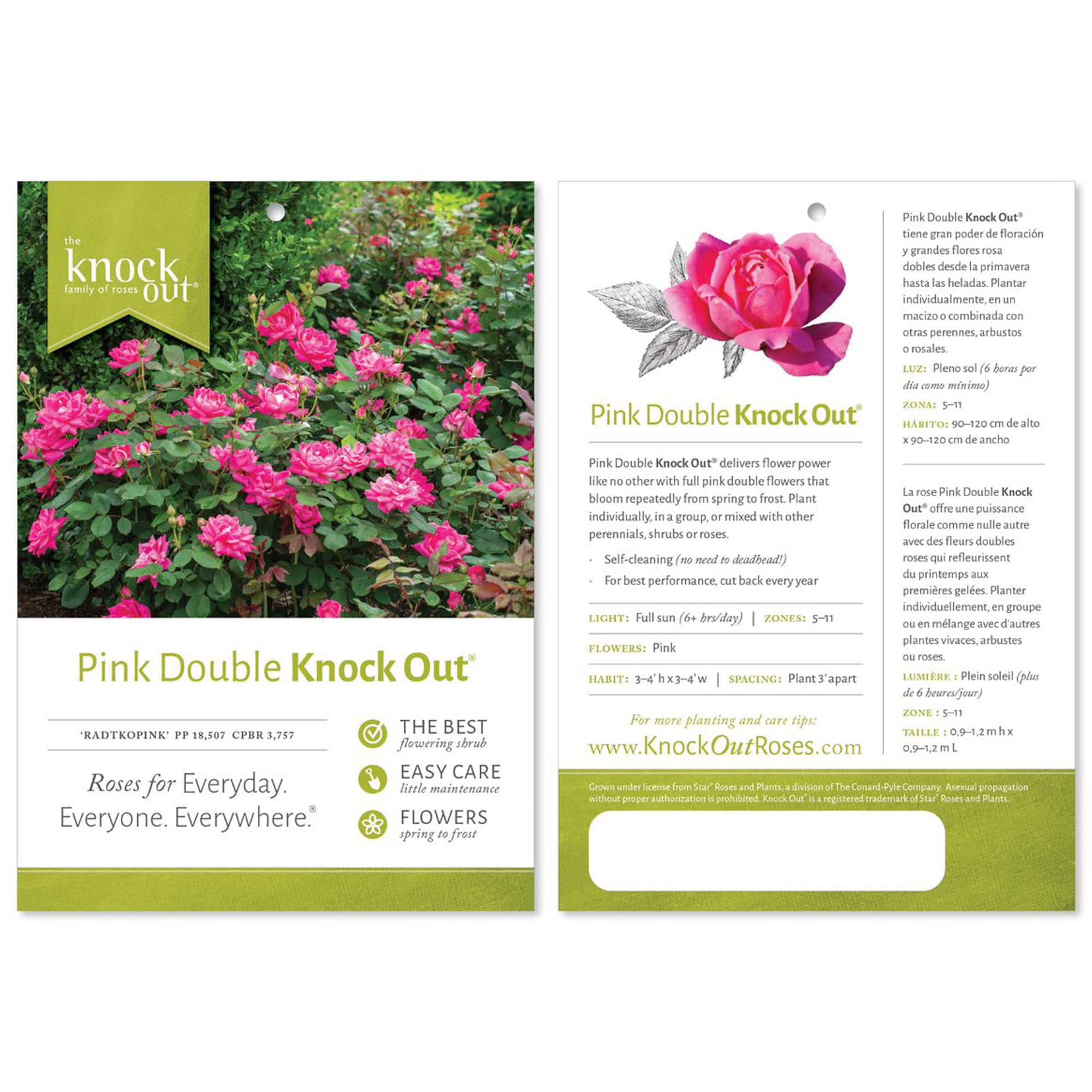 The Pink Double Knock Out® Rose Live Plant with Bright Pink Blooms (1 Gallon)