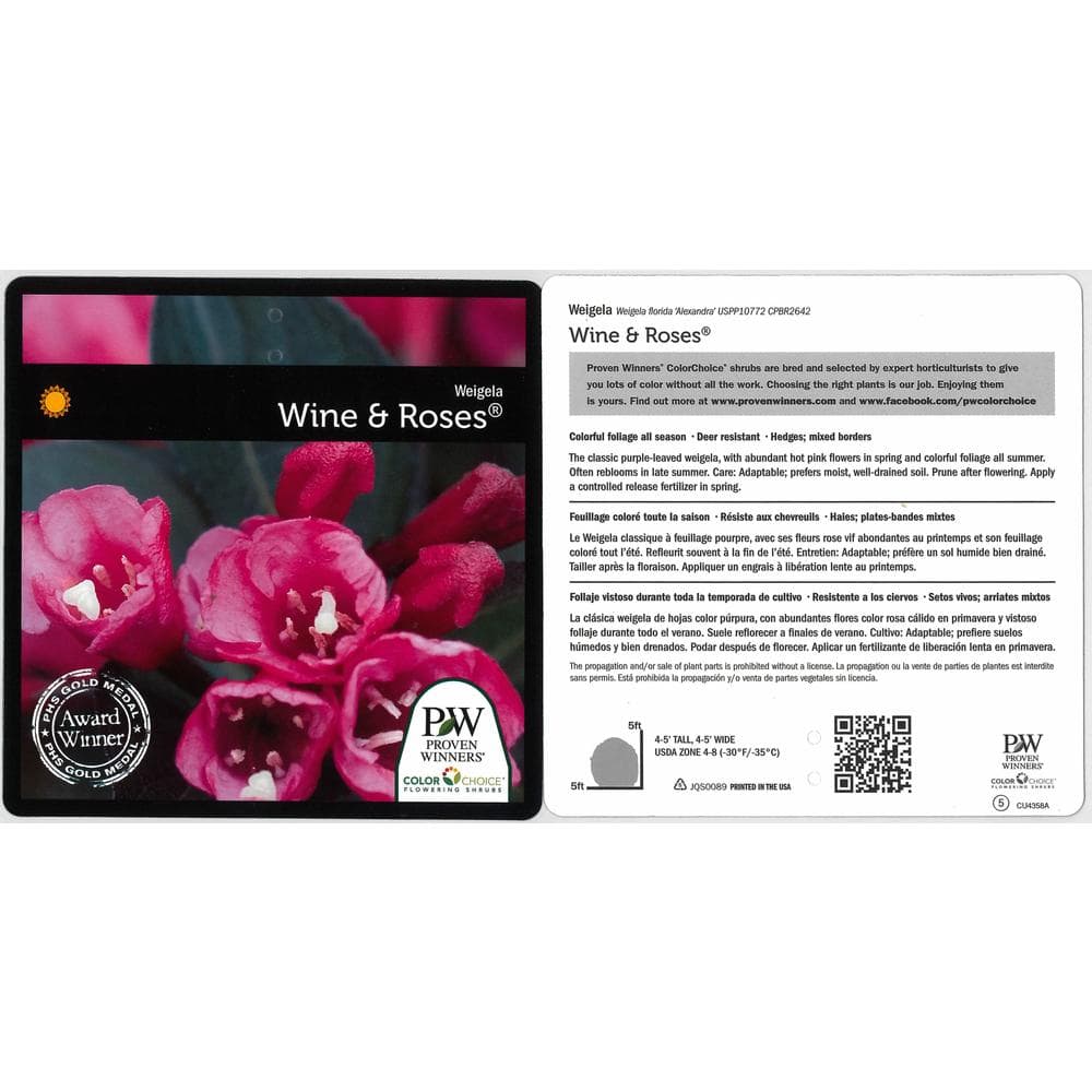 PROVEN WINNERS 1 Gal. Wine and Roses Reblooming Weigela (Florida) Live Shrub Pink Flowers and Dark Purple Foliage WEIPRC1016101