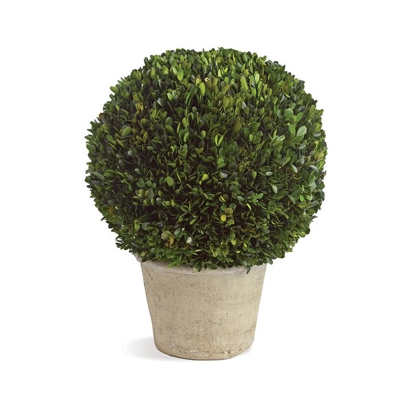 Boxwood 12 Ball In Pot