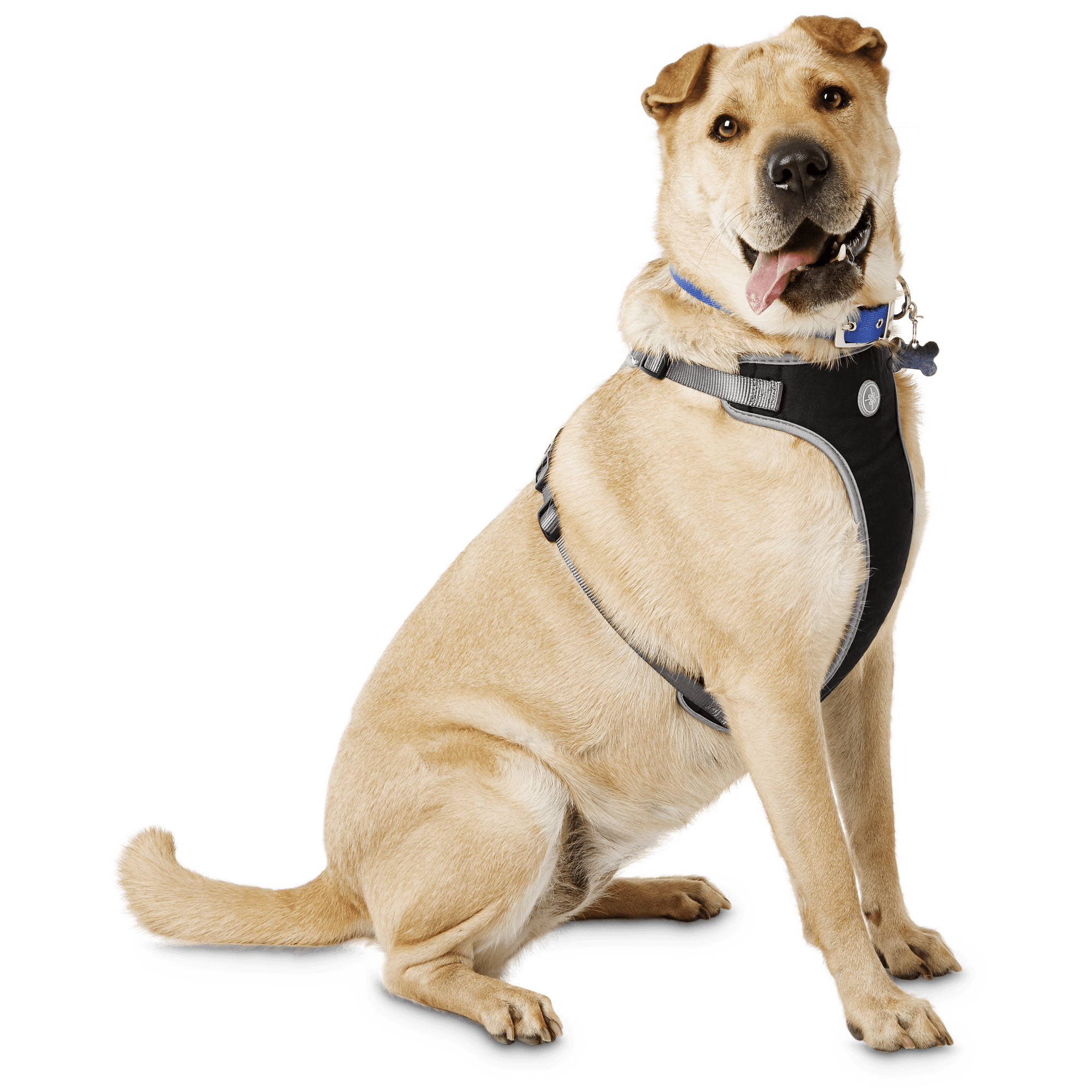 YOULY The Classic Black Harness for Large Dog， X-Large/XX-Large