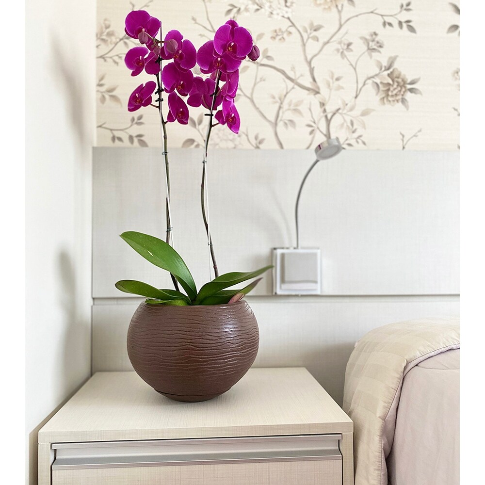 Floridis Florence Planter