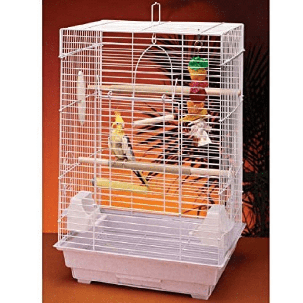 Penn-Plax Cockatiel Bird Cage Starter Kit， 27 Inch Cage with Kabob Toy， Cuttlebone， Treat， and Wood Perch， White， Model: BCK4