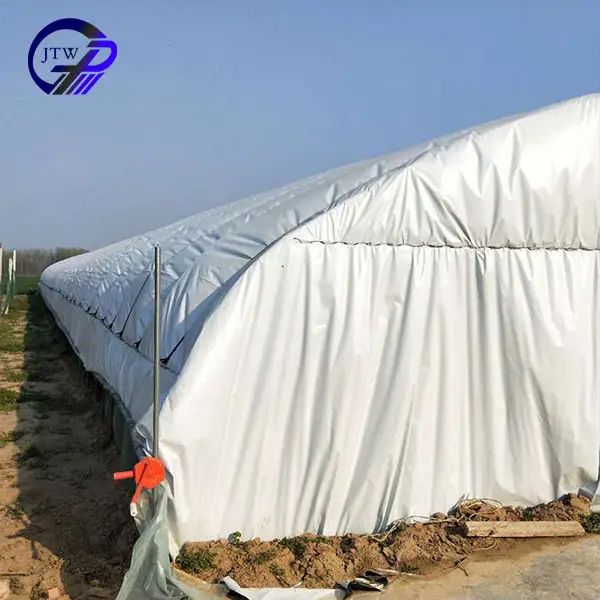 Winter Greenhouse System Supply Large Greenhouse Agricultural For Plants