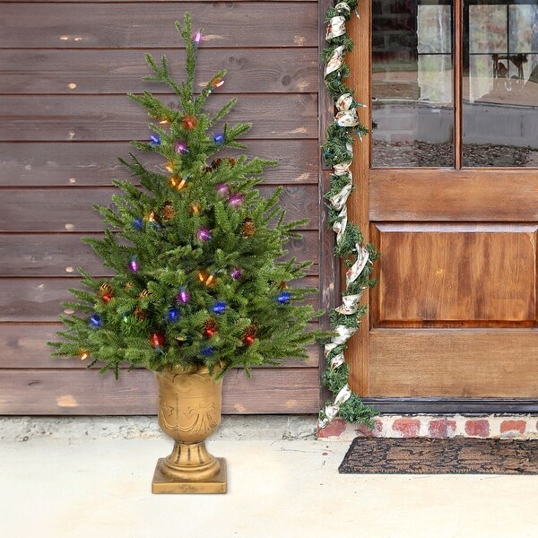 Fraser Hill Farm 3.0' Noble Fir Potted Tree