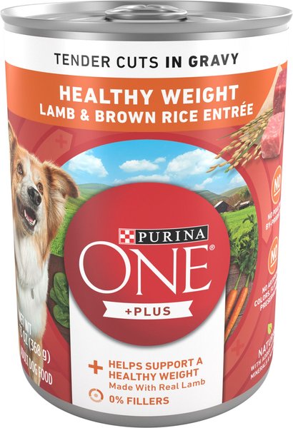 Purina ONE +Plus Adult Tender Cuts in Gravy Healthy Weight Lamb and Brown Rice Entree Canned Dog Food