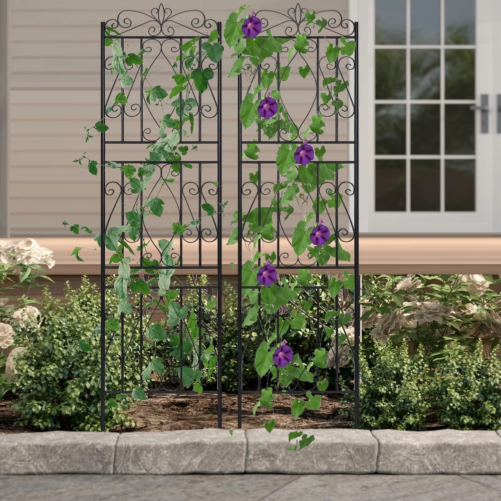 2 Pack Tall Garden Trellis Decorative Outdoor Black Metal Panel Fence for Patio Yard Décor