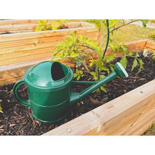 Bosmere English Garden 1.5 l (0.40 Gal.) Plastic Green Watering Can V556G