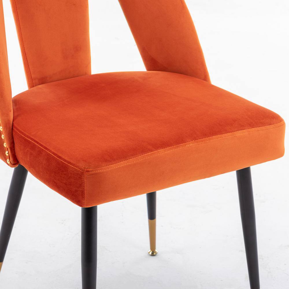 Modern Orange Velvet Upholstered Dining Chair with Nailheads and Metal Legs (Set of 2) FY-W114343514