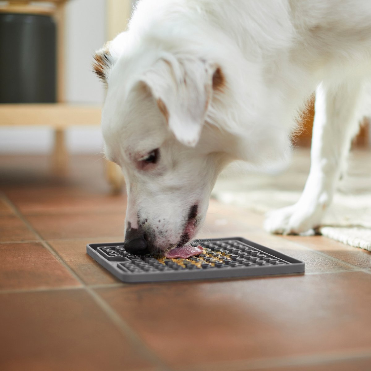 Frisco Silicone Treat Lick Mat