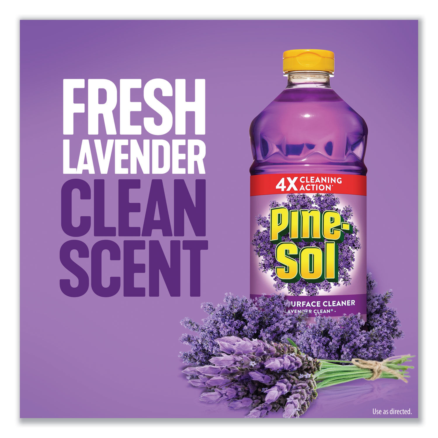 Multi-Surface Cleaner by Pine-Solandreg; CLO40272