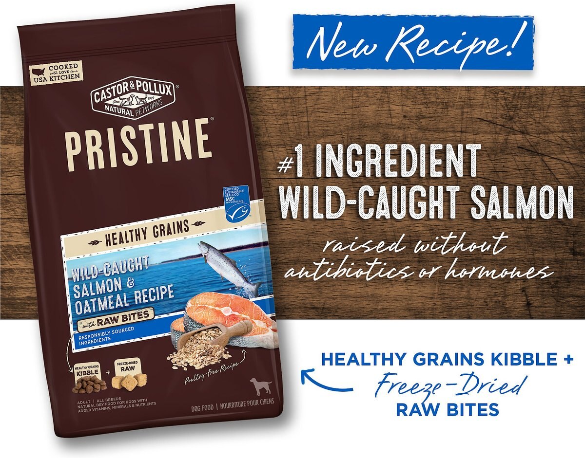 Castor and Pollux Pristine Healthy Grains Wild-Caught Salmon and Oatmeal Recipe Dry Dog Food