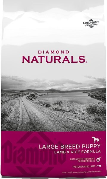 Diamond Naturals Large Breed Puppy Formula Dry Dog Food