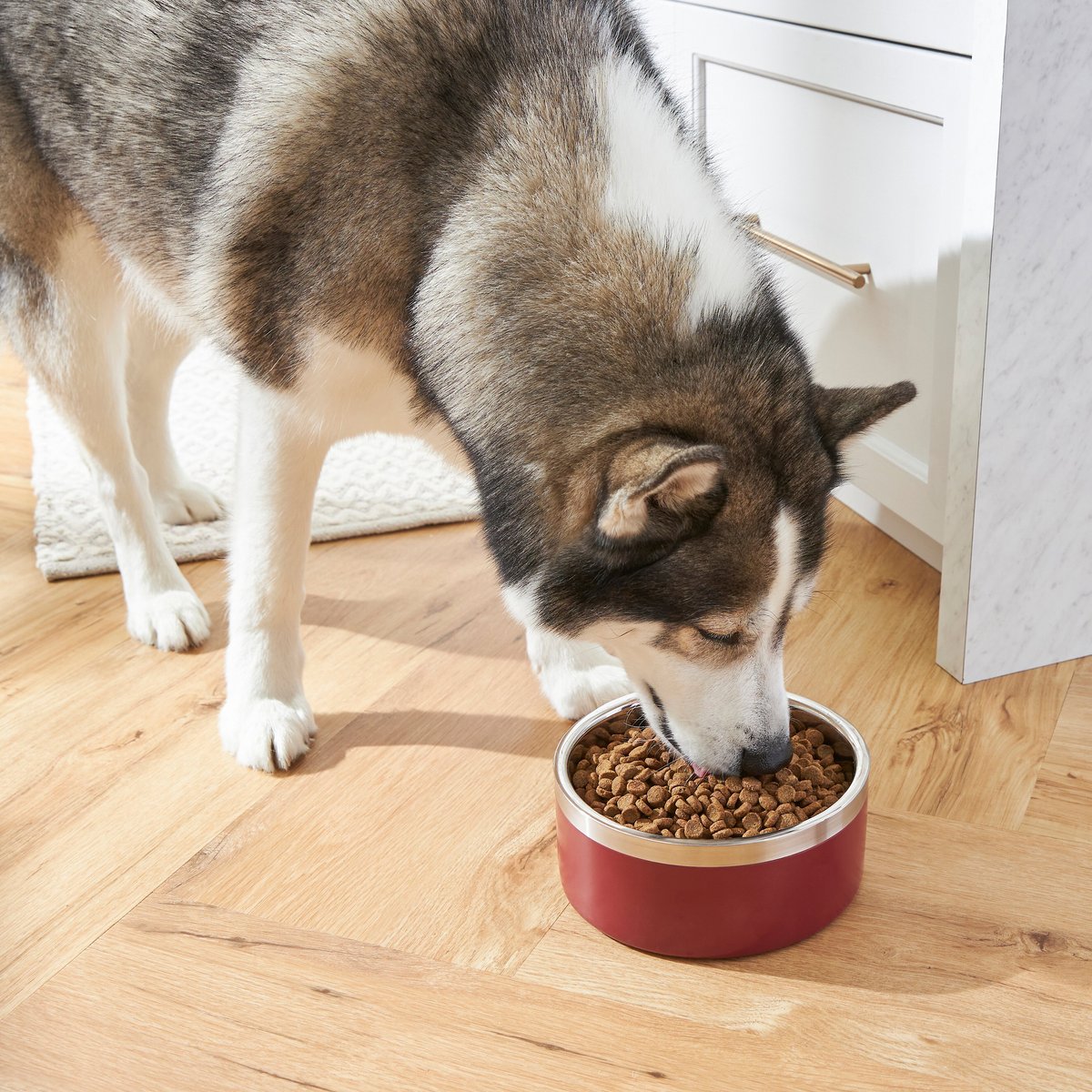 Frisco Insulated Two-Toned Non-Skid Stainless Steel Dog and Cat Bowl