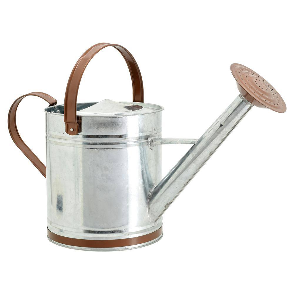 Arcadia Garden Products Classic 1.3 Gal. Chrome Metal Watering Can WC12