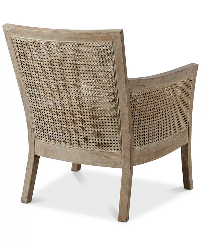 Furniture Madison Park Diedra Cane Armchair