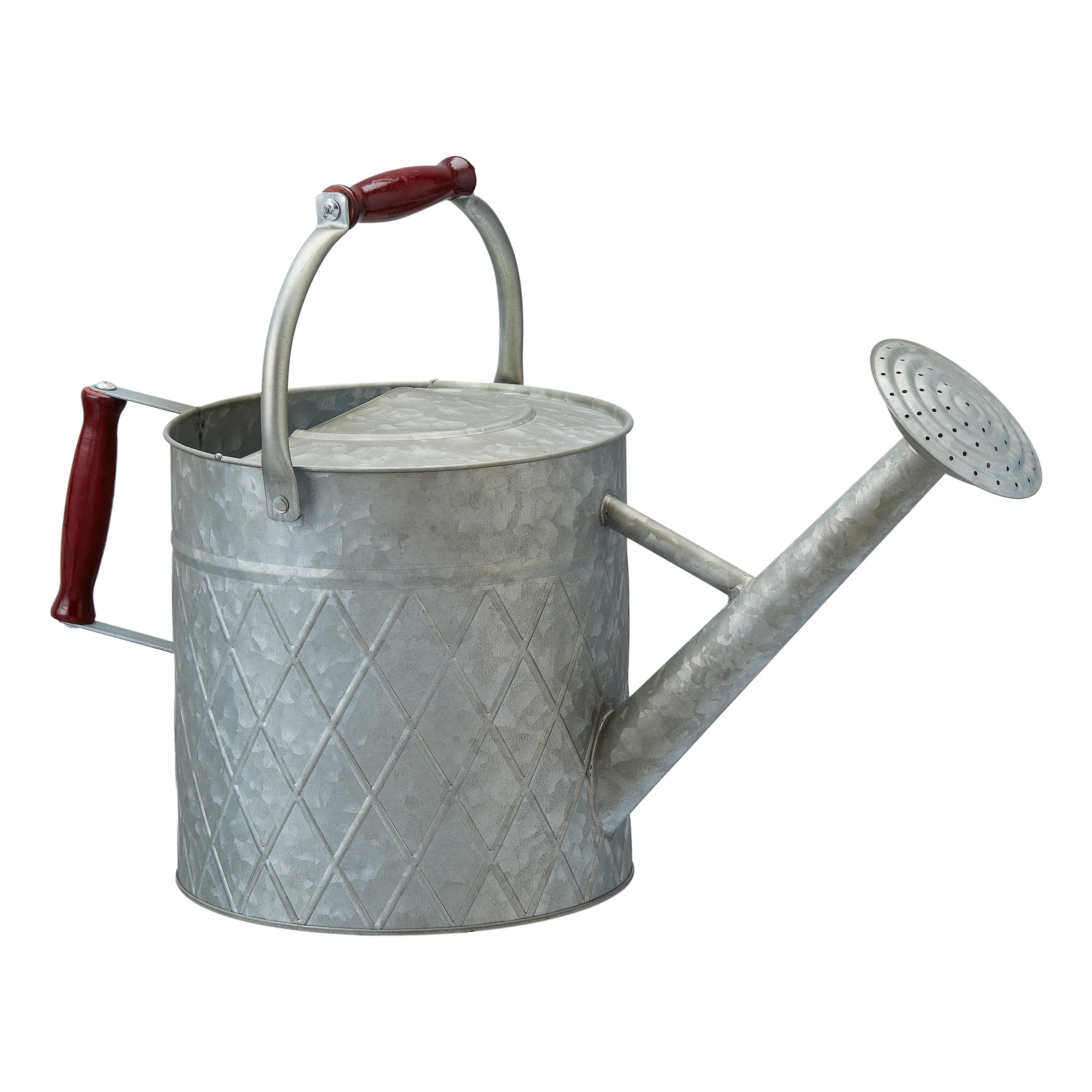 Designer Metal Water Can Super Fine Quality Handmade Decorative Wholesale Watering Can Hot Selling Garden Supplies Water Can