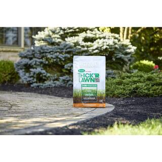 Scotts Turf Builder 40 lbs. 4000 sq. ft. THICK'R LAWN Grass Seed Fertilizer and Soil Improver for Bermudagrass 30178