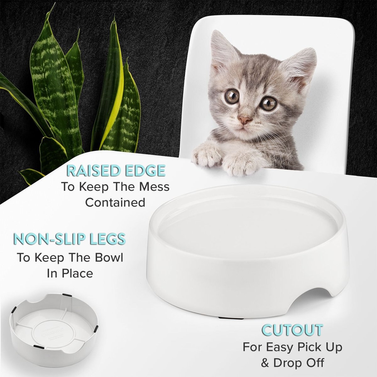 CatGuru Standard Cat and Dog Food Bowl， Marshmallow