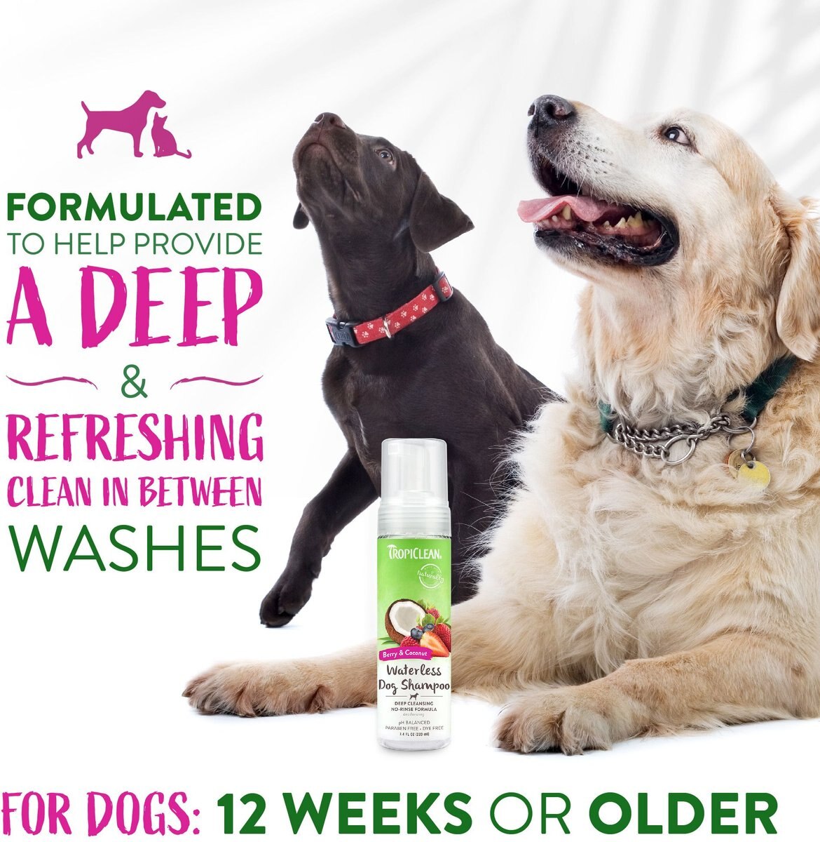 TropiClean Waterless Deep Cleaning Dog Shampoo