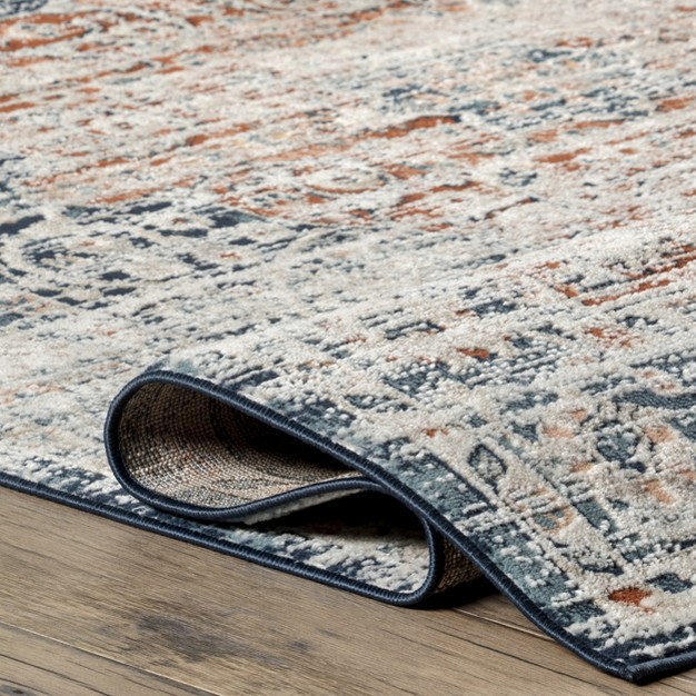 Nuloom Adamina Vintage Area Rug