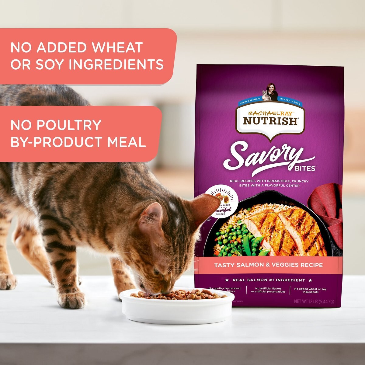 Rachael Ray Nutrish Savory Bites Tasty Salmon and Veggies Recipe Dry Cat Food， 5-lb bag