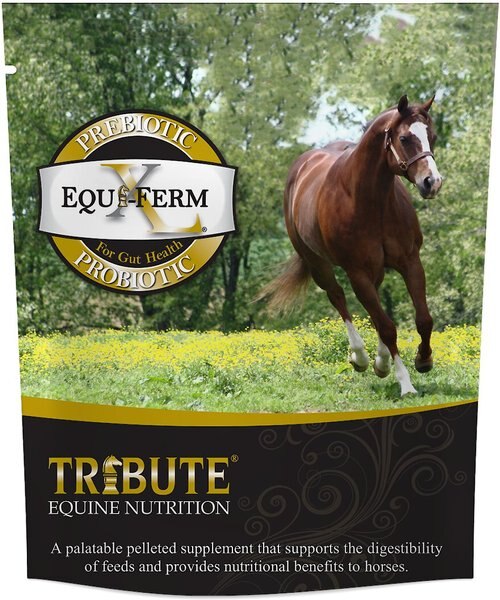 Tribute Equine Nutrition Equi-Ferm XL Prebiotic and Probiotic Pellets Horse Supplement