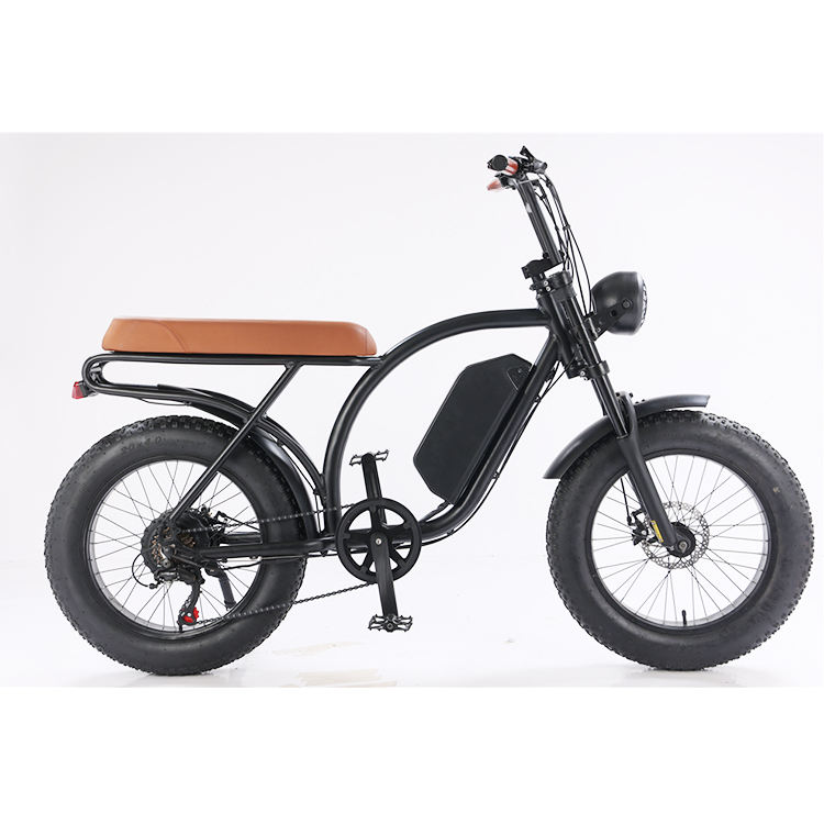 New Hot  Dual Lithium Battery Electric Mountain Bike Bicycle