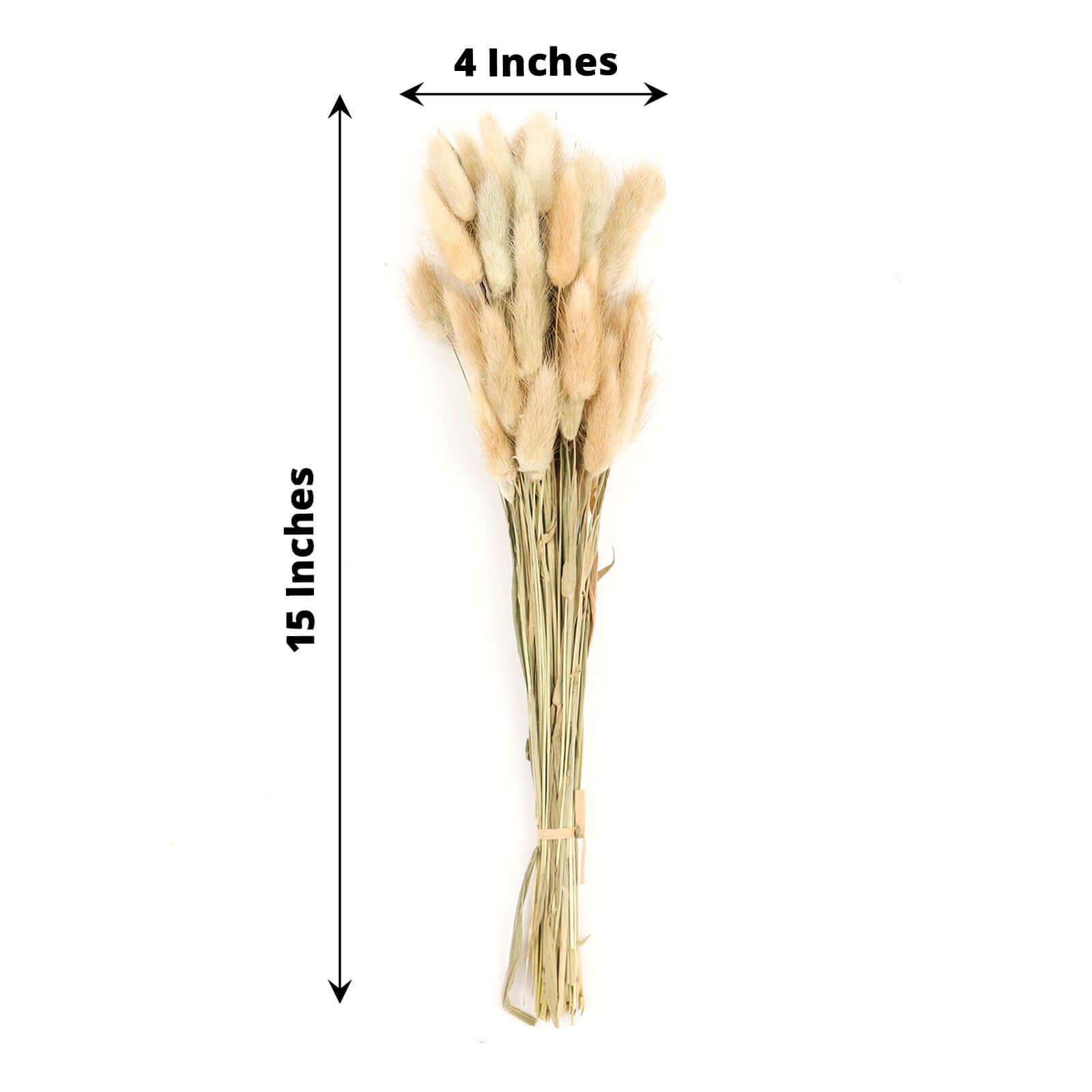 50 Pack Natural Rabbit Tail Dried Pampas Grass Flower Bouquets, Boho Stem Arrangements 15