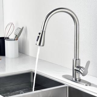 ruiling Modern Single-Handle Pull-Down Sprayer Kitchen Faucet with 3 Spray Mode in Stainless Steel ATK-173